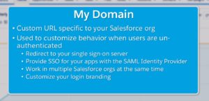 Download Identity-and-Access-Management-Designer Demo