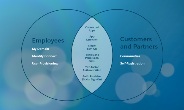 Identity-and-Access-Management-Designer Valid Study Plan