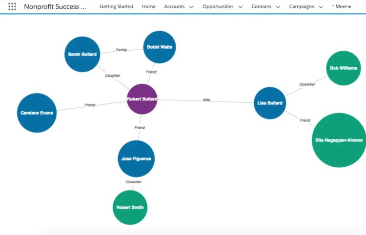 Nonprofit-Cloud-Consultant Buch